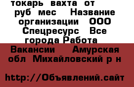 токарь. вахта. от 50 000 руб./мес. › Название организации ­ ООО Спецресурс - Все города Работа » Вакансии   . Амурская обл.,Михайловский р-н